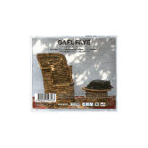 RYTHMES ET BOTANIQUE - CD